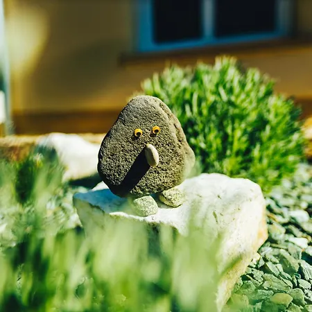 Szoloszem Vendeghazak * Szolosgyorok