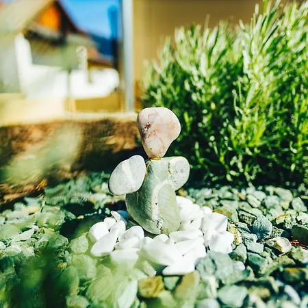 Szoloszem Vendeghazak * Szolosgyorok