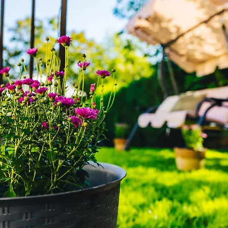 Szoloszem Vendeghazak