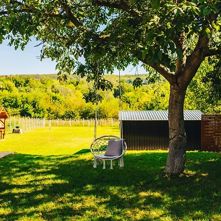 Apartment Szoloszem Vendeghazak