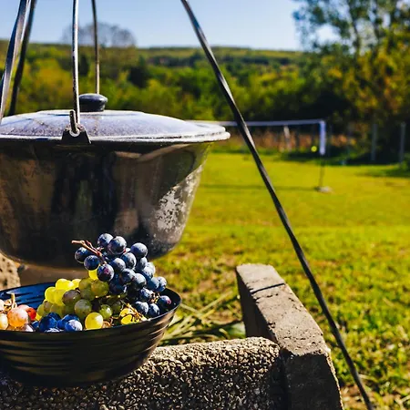 Szoloszem Vendeghazak