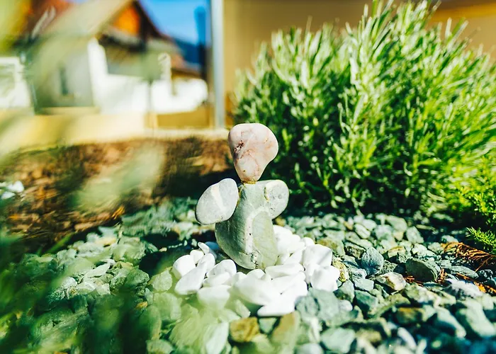 Szoloszem Vendeghazak * Szolosgyorok