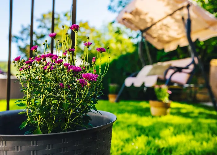 Szoloszem Vendeghazak