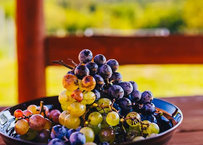 Szoloszem Vendeghazak דירה Szolosgyorok