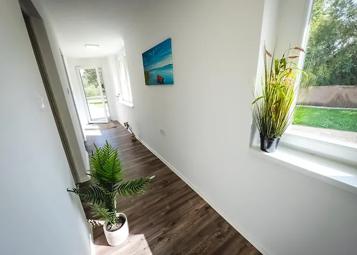 Szoloszem Vendeghazak *