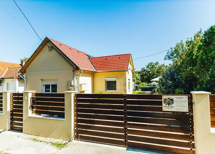 Szoloszem Vendeghazak דירה *