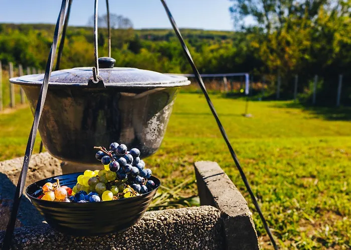 Szoloszem Vendeghazak